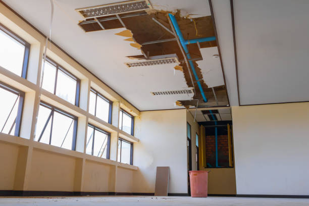 Best Sewage cleanup and water damage restoration  in Sarcoxie, MO