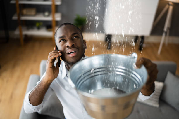 Best Water damage mitigation services  in Sarcoxie, MO
