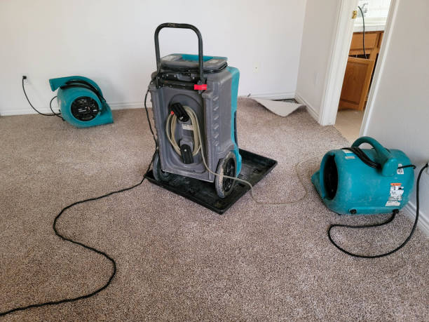Best Flood damage cleanup  in Sarcoxie, MO