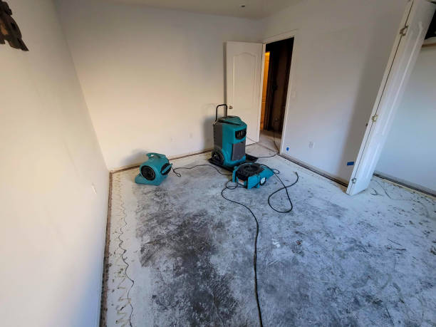 Best 24/7 water damage repair  in Sarcoxie, MO