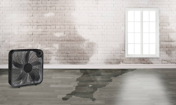 Water damage restoration experts in MO