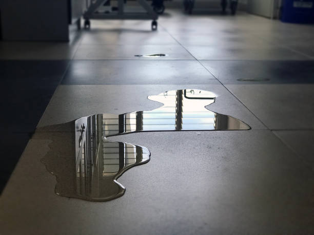 Best Water damage restoration experts  in Sarcoxie, MO