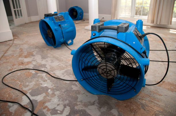  Sarcoxie, MO Water damage restoration Pros