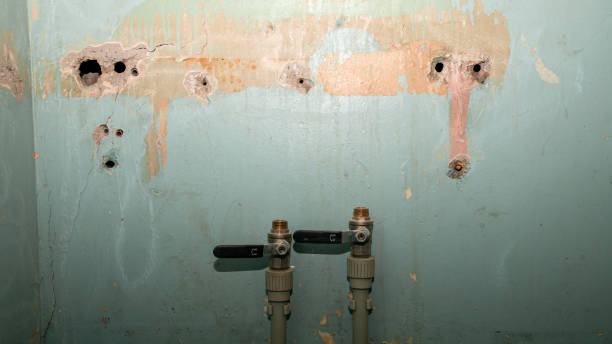 Best 24/7 water damage repair  in Sarcoxie, MO