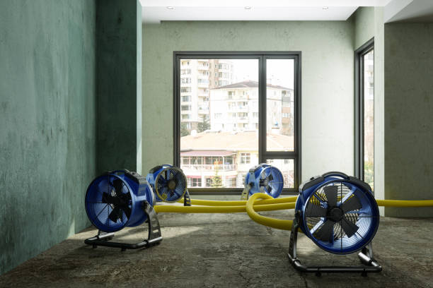 Best Commercial water damage restoration  in Sarcoxie, MO