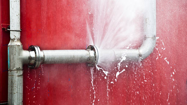 Best Flood restoration services  in Sarcoxie, MO